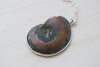 Ammonite Fossil Shell Necklace | Fossilized Shell Necklace | Ammonite Pendant | Nautilus Necklace - Enchanted Leaves - Nature Jewelry - Unique Handmade Gifts