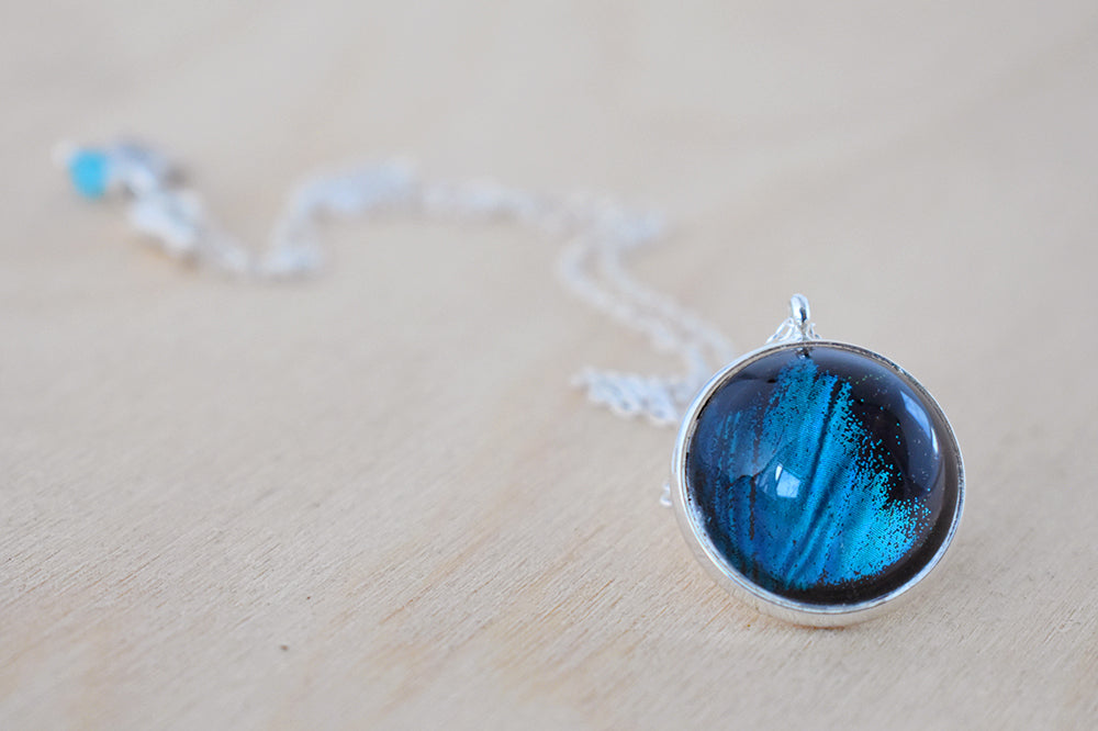 Real Blue Morpho Butterfly Wing Necklace | Glass Butterfly Pendant Necklace - Enchanted Leaves - Nature Jewelry - Unique Handmade Gifts