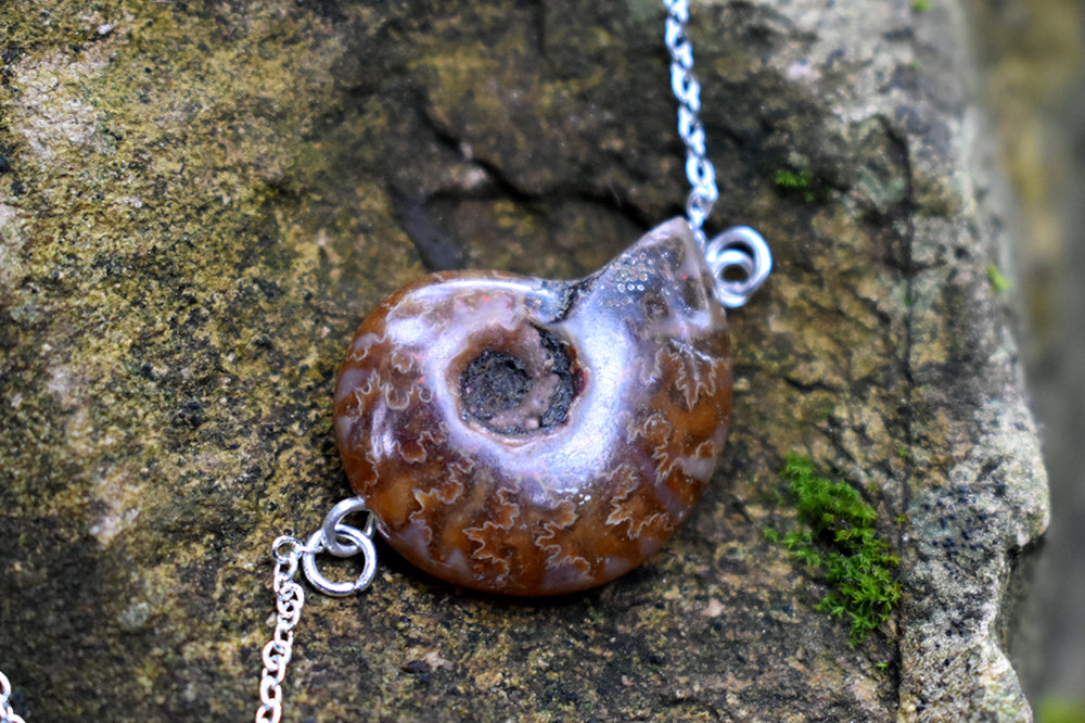 Full Ammonite Fossil Shell Necklace | Fossilized Shell Necklace | Ammonite Pendant - Enchanted Leaves - Nature Jewelry - Unique Handmade Gifts