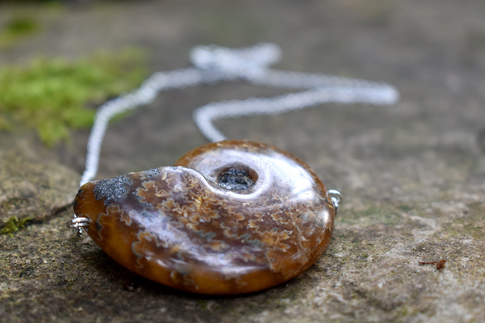 Full Ammonite Fossil Shell Necklace | Fossilized Shell Necklace | Ammonite Pendant - Enchanted Leaves - Nature Jewelry - Unique Handmade Gifts