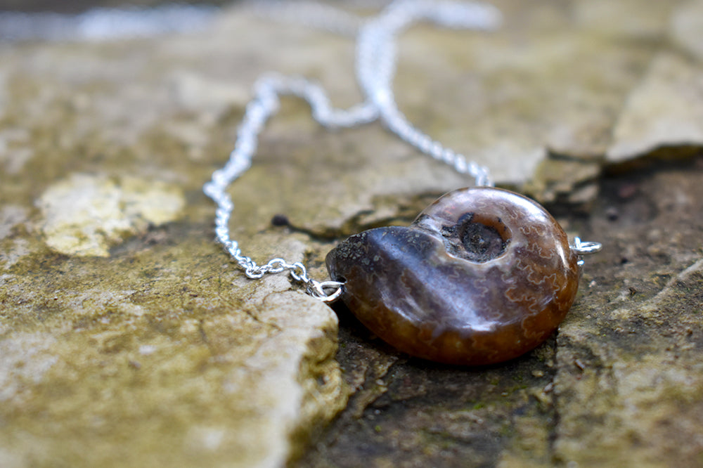 Full Ammonite Fossil Shell Necklace | Fossilized Shell Necklace | Ammonite Pendant - Enchanted Leaves - Nature Jewelry - Unique Handmade Gifts