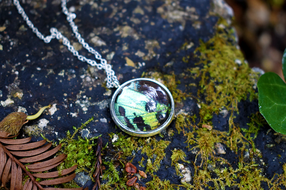 Real Sunset Moth Wing Necklace | Rainbow Butterfly Glass Pendant Necklace - Enchanted Leaves - Nature Jewelry - Unique Handmade Gifts