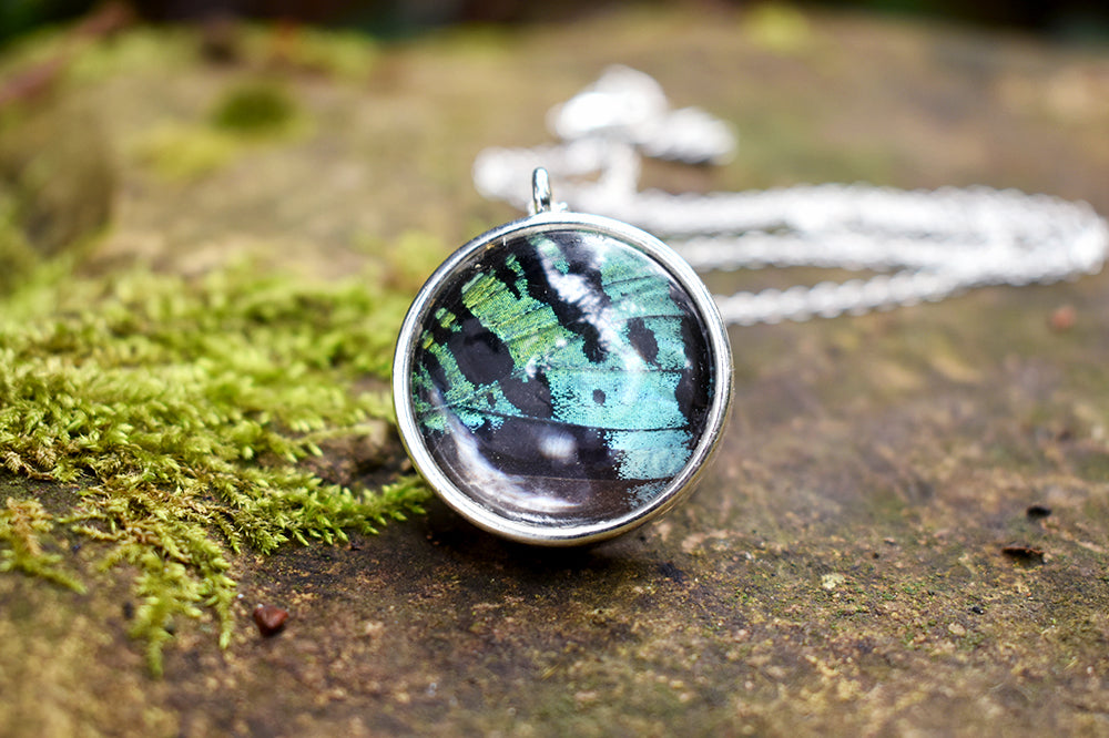 Large Real Sunset Moth Wing Necklace | Rainbow Butterfly Glass Pendant Necklace - Enchanted Leaves - Nature Jewelry - Unique Handmade Gifts