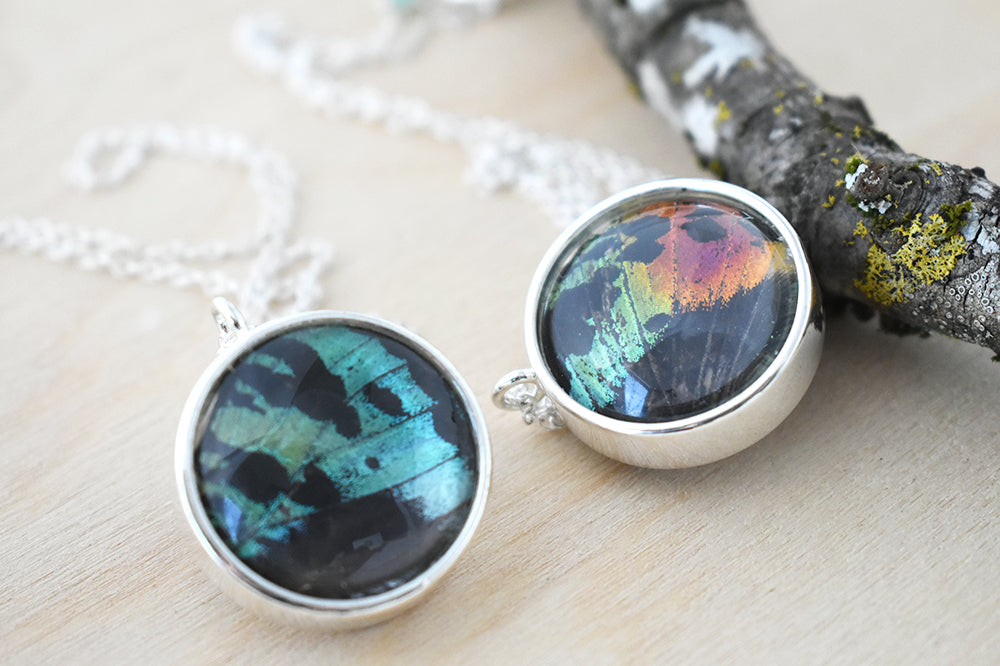 Large Real Sunset Moth Wing Necklace | Rainbow Butterfly Glass Pendant Necklace - Enchanted Leaves - Nature Jewelry - Unique Handmade Gifts