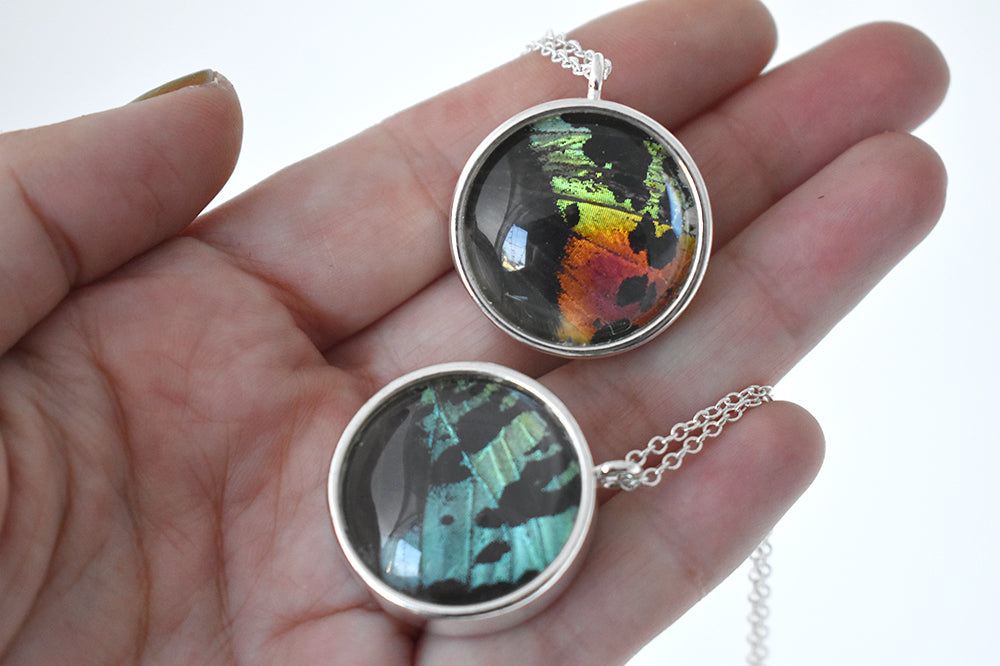 Large Real Sunset Moth Wing Necklace | Rainbow Butterfly Glass Pendant Necklace - Enchanted Leaves - Nature Jewelry - Unique Handmade Gifts