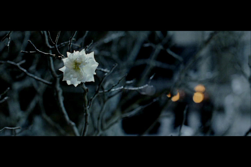 White Tree of Gondor - Enchanted Leaves - Nature Jewelry - Unique Handmade Gifts