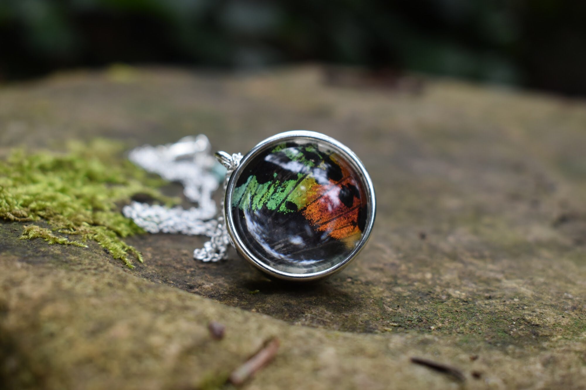 Large Real Sunset Moth Wing Necklace | Rainbow Butterfly Glass Pendant Necklace - Enchanted Leaves - Nature Jewelry - Unique Handmade Gifts