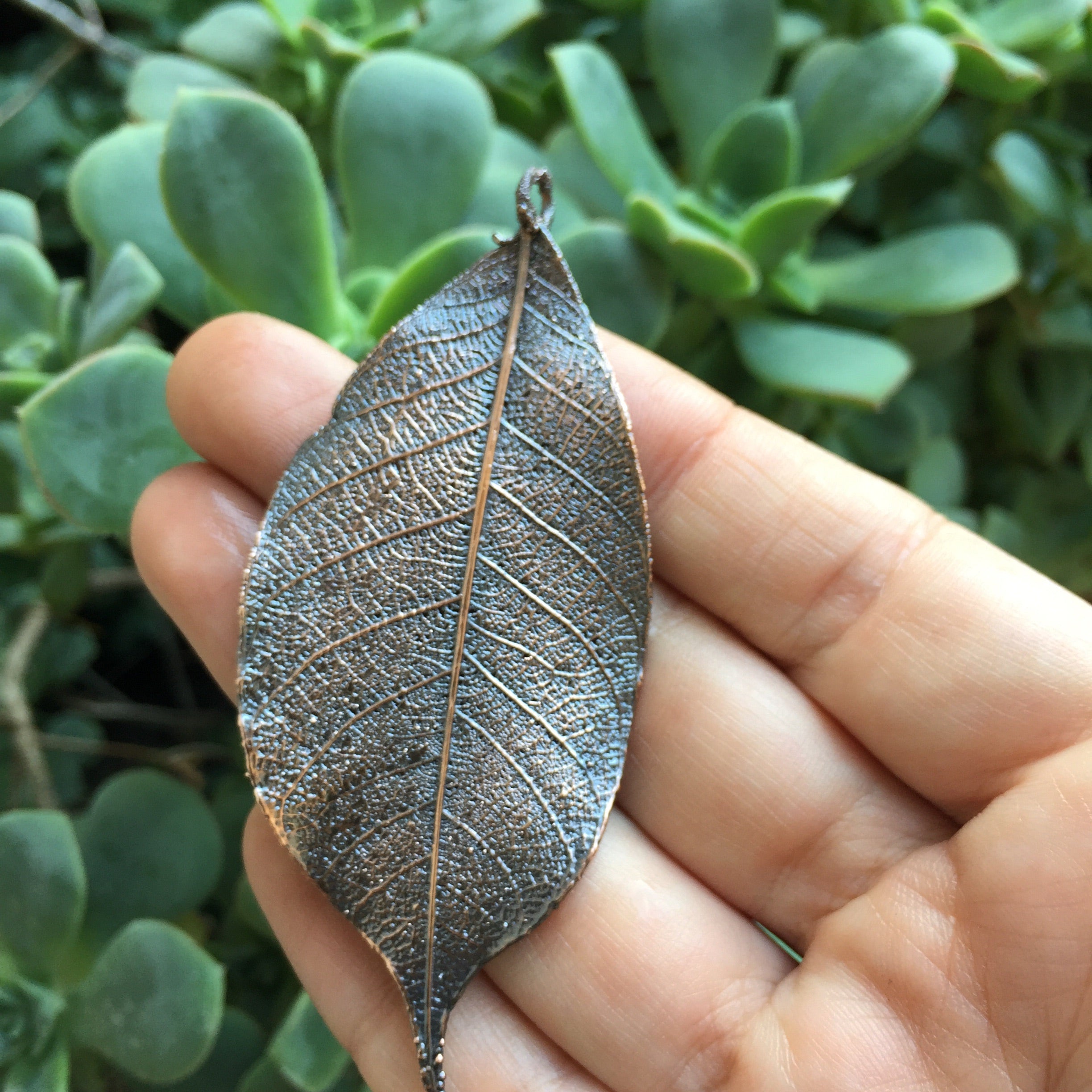 Electroforming Project Kit Add-On | DIY Skeleton Leaf Pendant | Copper Electroforming - Enchanted Leaves - Nature Jewelry - Unique Handmade Gifts