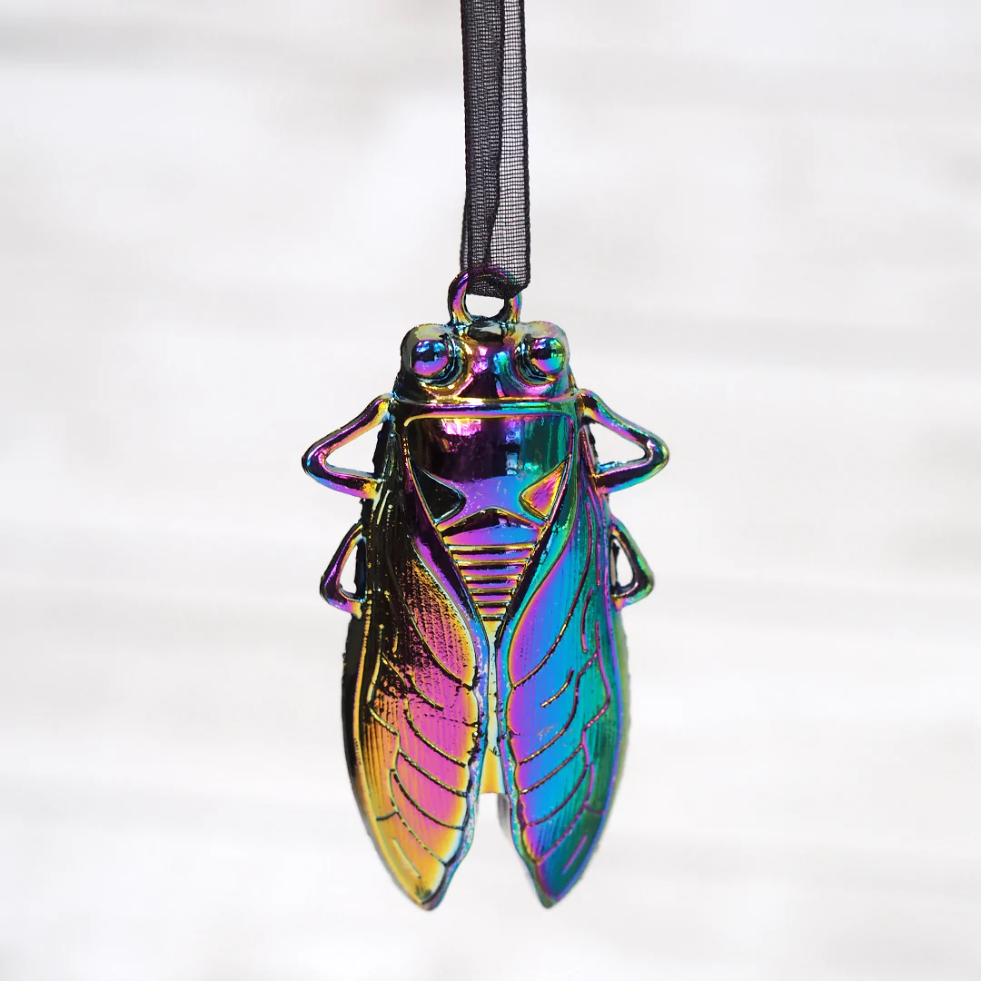 Giant Cicada Ornament | Iridescent Rainbow Ornament | Magic Colorful Cicada | Unique Gift Tags