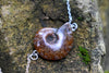 Full Ammonite Fossil Shell Necklace | Fossilized Shell Necklace | Ammonite Pendant - Enchanted Leaves - Nature Jewelry - Unique Handmade Gifts