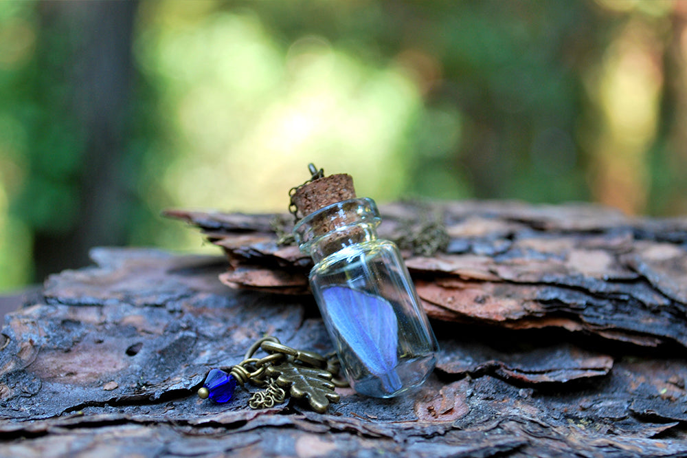 Butterfly Wing Bottle Terrarium | White & Purple Wing Necklace | Cute Butterfly Necklace - Enchanted Leaves - Nature Jewelry - Unique Handmade Gifts
