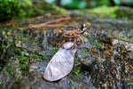 Tipuana Seed Pod Necklace - Enchanted Leaves - Nature Jewelry - Unique Handmade Gifts