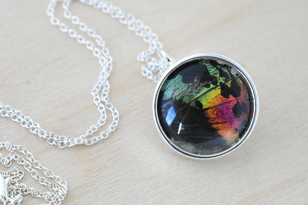Large Real Sunset Moth Wing Necklace | Rainbow Butterfly Glass Pendant Necklace - Enchanted Leaves - Nature Jewelry - Unique Handmade Gifts