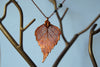 Large Fallen Copper Birch Leaf Necklace  | REAL Birch Leaf Pendant | Copper Electroformed Pendant | Nature Jewelry - Enchanted Leaves - Nature Jewelry - Unique Handmade Gifts